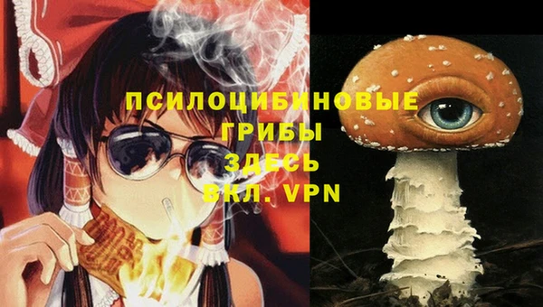 сатива Алзамай