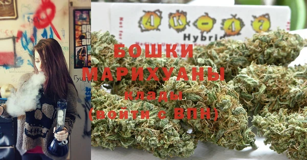 гидропоника Няндома