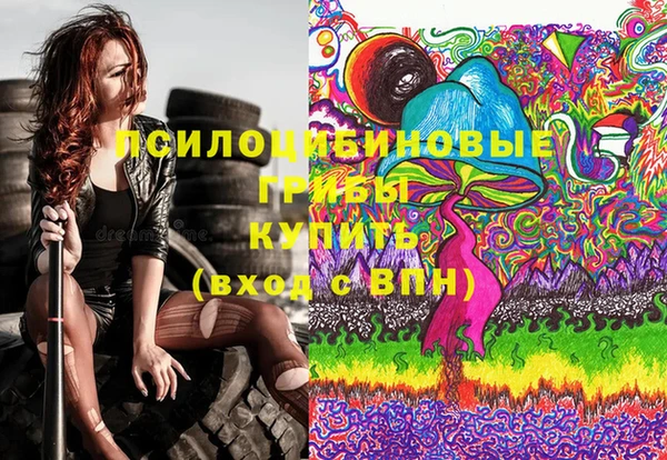 сатива Алзамай