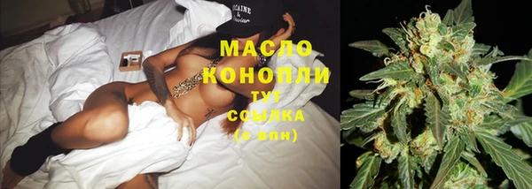 сатива Алзамай